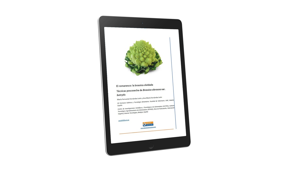 Artículo el romanesco.jpg